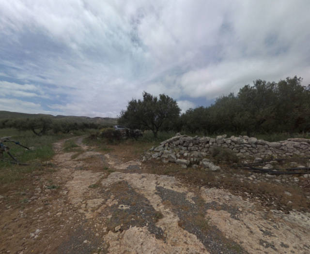 Alagni Tiganitis Point 3A Vineyards