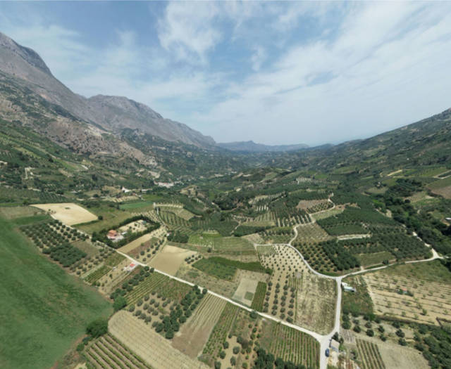 Nissi Vineyards Point 131