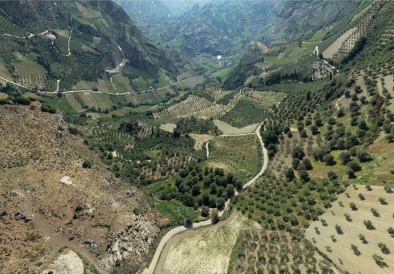 Red Winepress Point 12