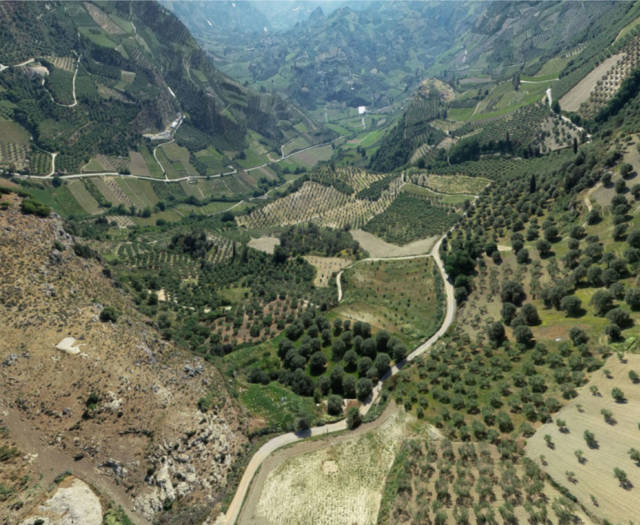 Red Winepress Point 12