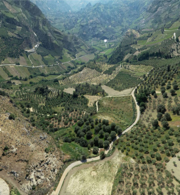 Red Winepress Point 12