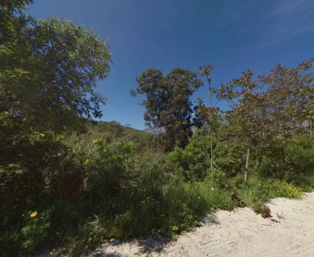 Efkalyptos Vineyards Point 1