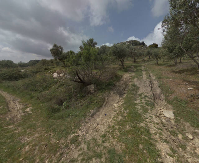 Vathipetro Paleochora Katalagariou Point 10 Vineyards