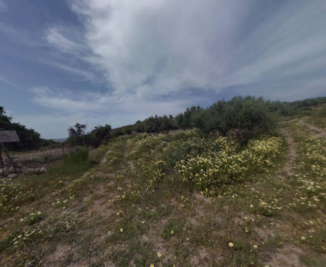 Vakiotes Point 7B Vineyards