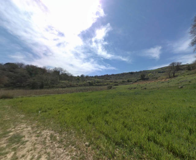 Agia Varvara Pirouniana Vineyards Point 9C 20C