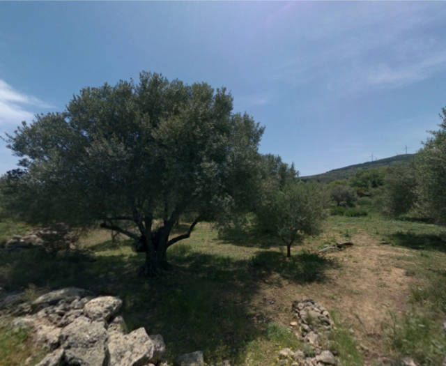 Aniforos Dasos Voskou Point 1 4