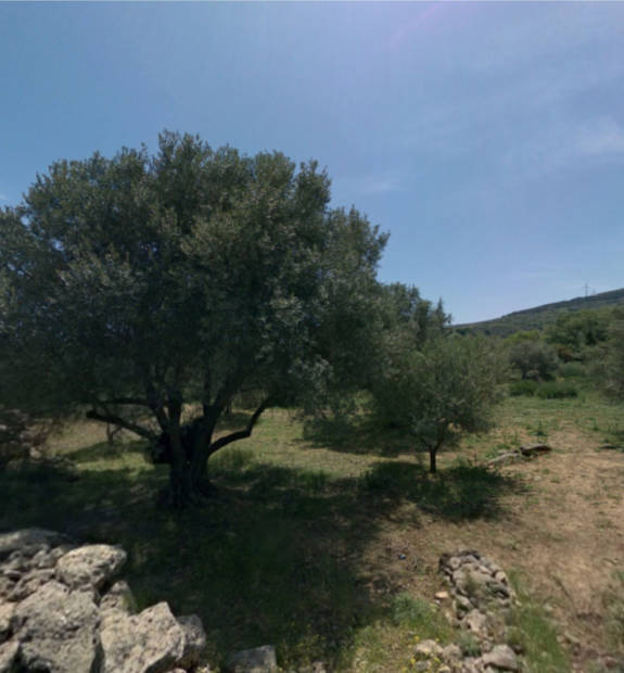 Aniforos Dasos Voskou Point 1 4