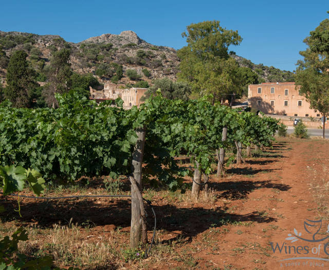 Vineyard with the Agia Triada Monastery in the background