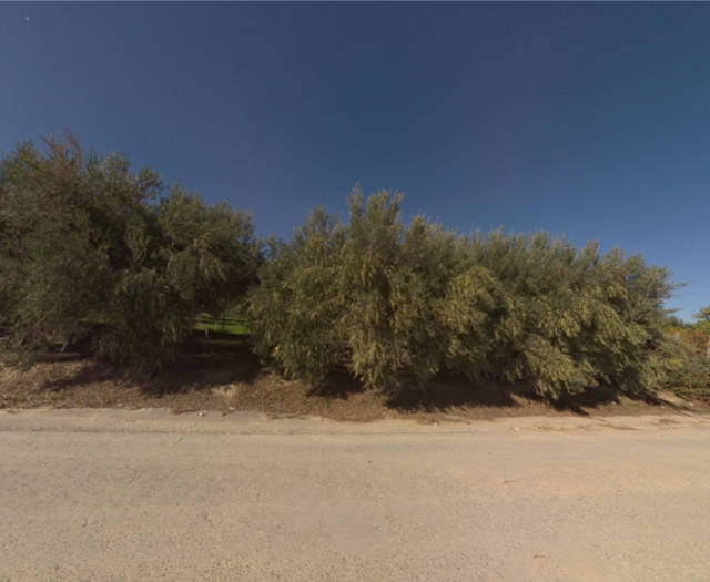 Nissi Vineyards Point 130