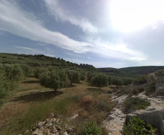 Sokaras Point 7A Vineyards