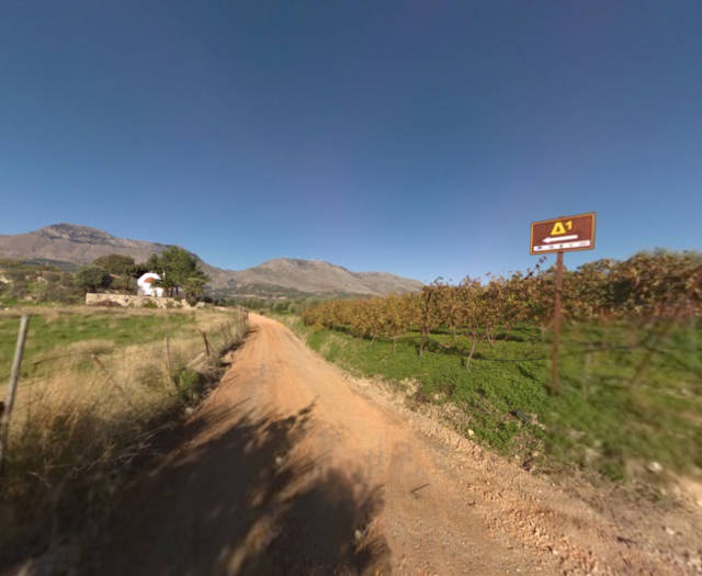 Skepasta Pirgou Ag. Giorgis Mesampelitis Vineyards Point 88