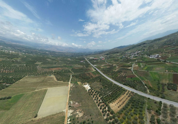 Alagni Psarades Point 3B 5A Vineyards