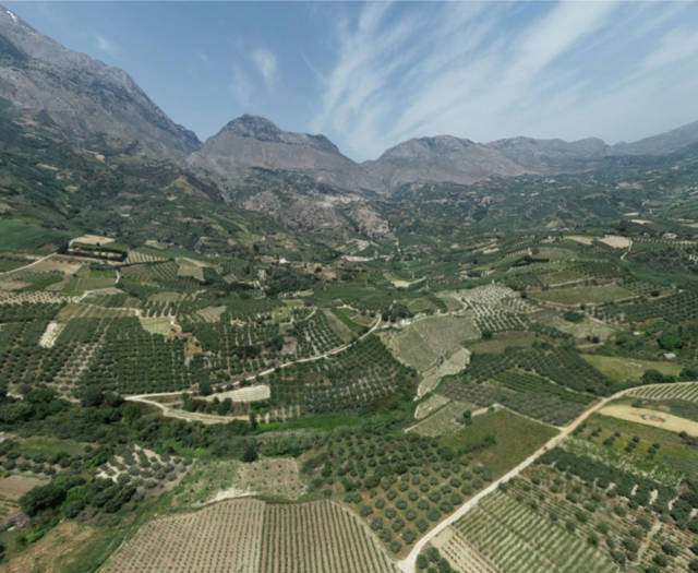 Assites Gorgolaini Nissi Chrisopigi Vineyards Point 161