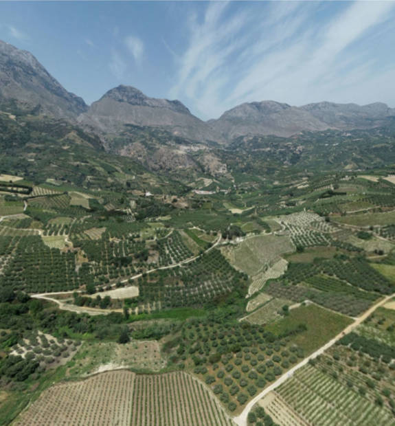 Assites Gorgolaini Nissi Chrisopigi Vineyards Point 161