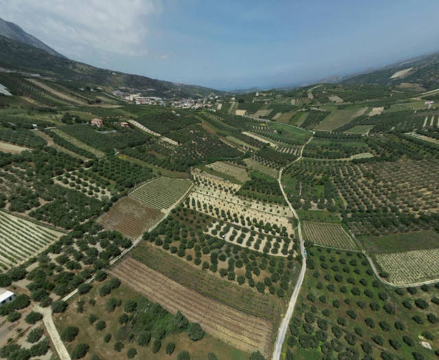 Peza Agios Konstantinos Point 6 Vineyards