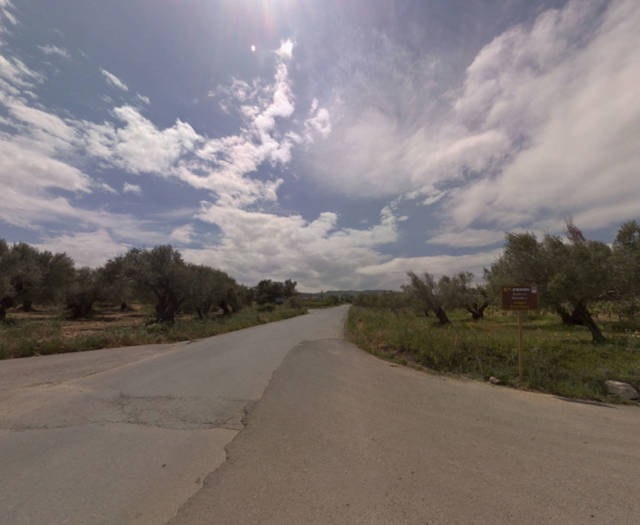 Alagni Psarades Point 3B 4 Vineyards