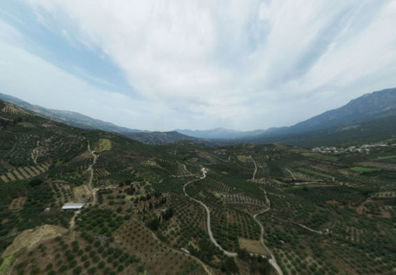 Sokaras Point 4 Vineyards