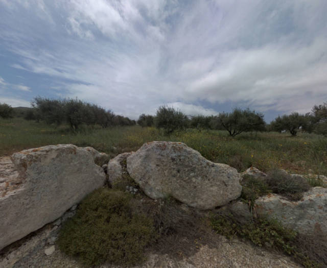 Alagni Tiganitis Point 3A Vineyards