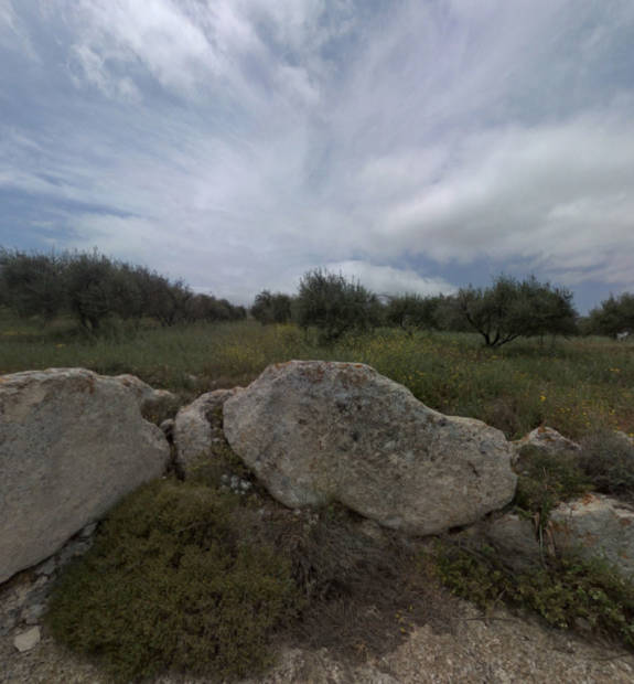 Alagni Tiganitis Point 3A Vineyards