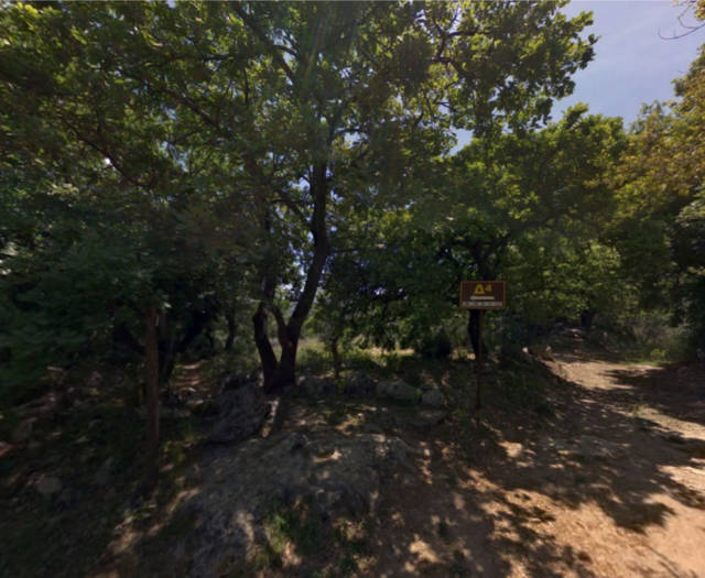 Aniforos Dasos Voskou Point 1 3