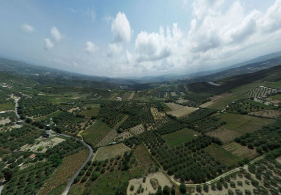 Kounavi Agios Nikolaos Vineyards