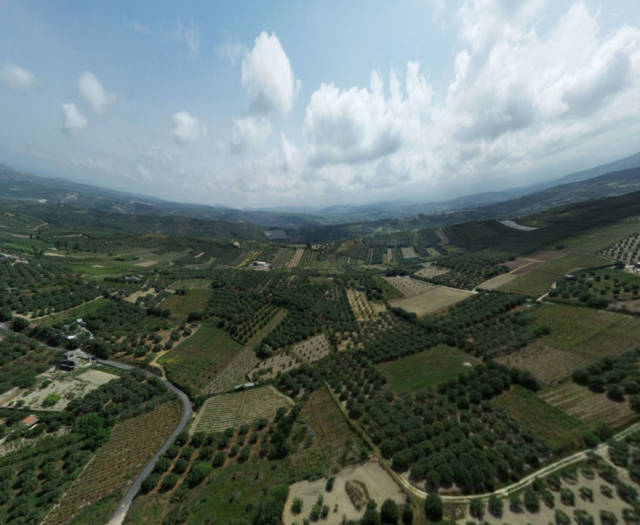 Kounavi Agios Nikolaos Vineyards