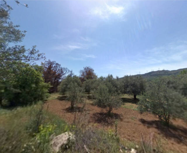 Aniforos Dasos Voskou Point 6