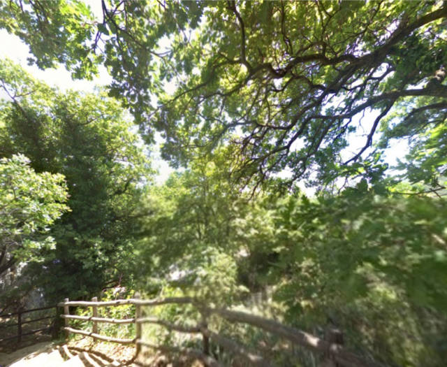 Aniforos Dasos Voskou Point 12