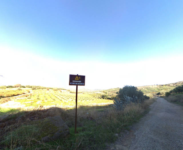 Skepasta Pirgou Ag. Giorgis Mesampelitis Vineyards Point 4