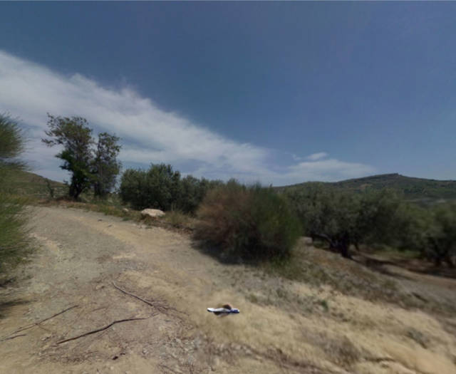 Aniforos Turia Grias Point 3