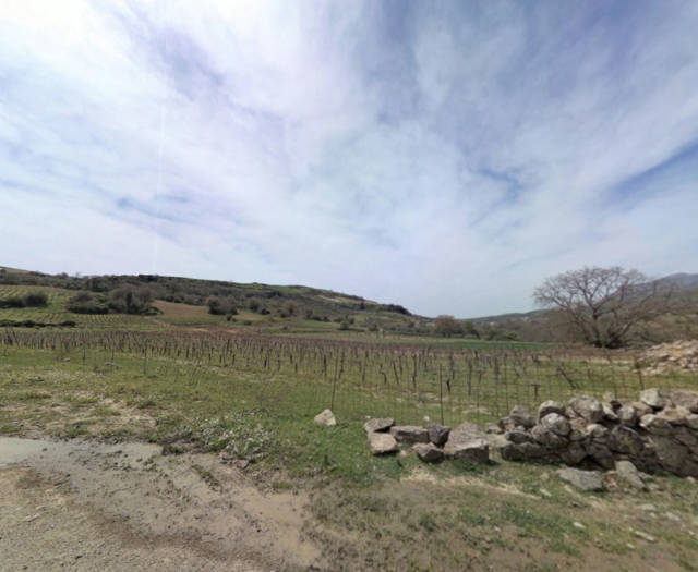 Agia Varvara Pirouniana Vineyards Point 9B 29