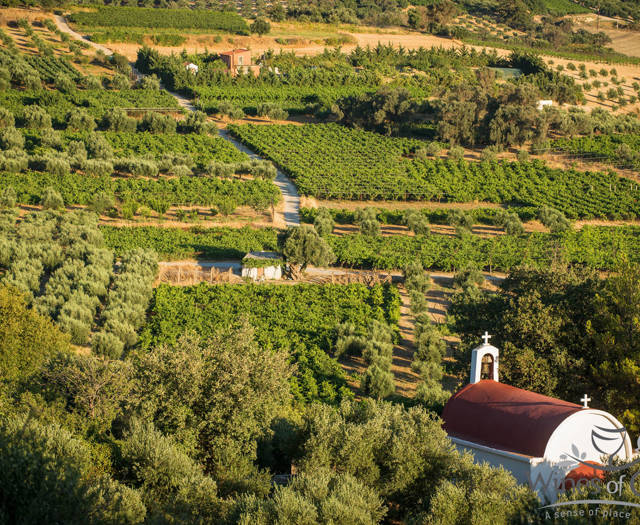 Crete Wine Paths vineyards and a small church