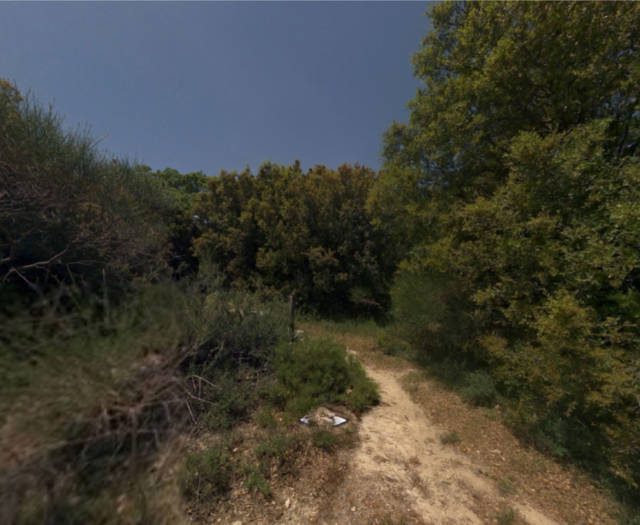 Aniforos Dasos Voskou Point 9