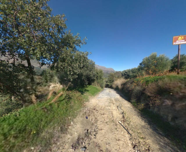 Skepasta Pirgou Ag. Giorgis Mesampelitis Vineyards Point 100