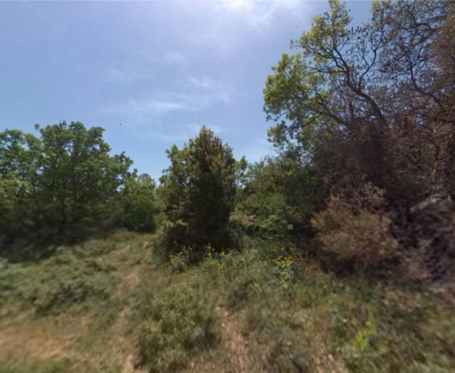 Aniforos Dasos Voskou Point 7