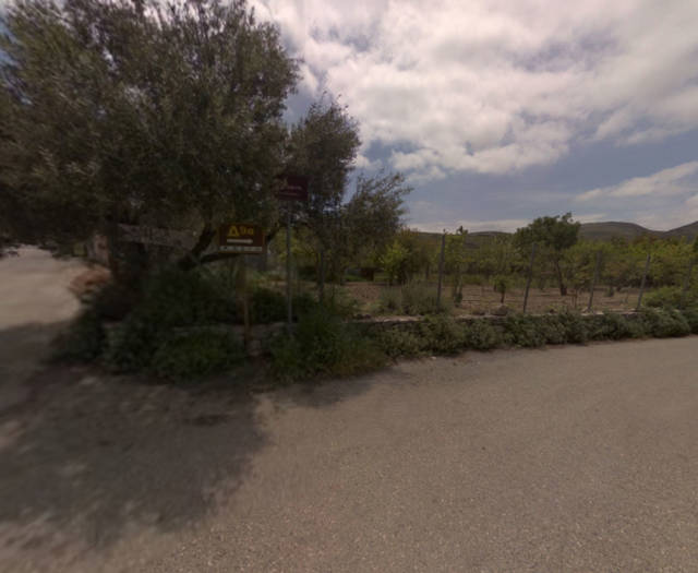 Alagni Tiganitis Point 3A Vineyards