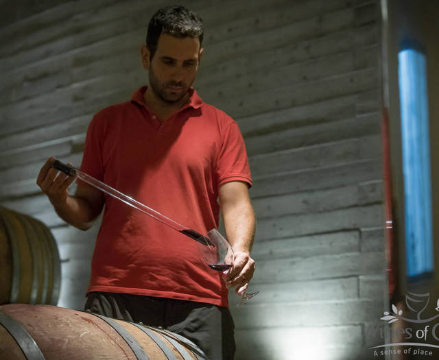 Winemaker checking the wine