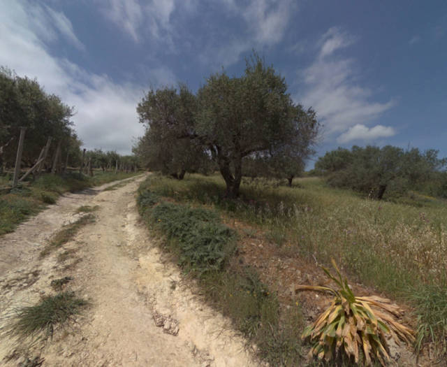 Peza Agios Konstantinos Point 8A Vineyards