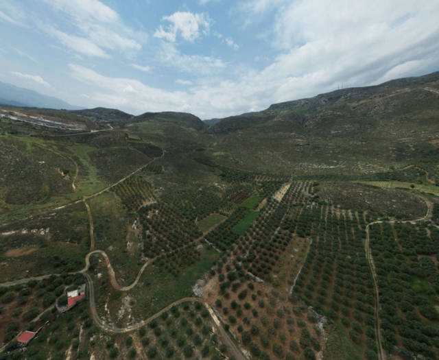 Alagni Tiganitis Point 3A Vineyards