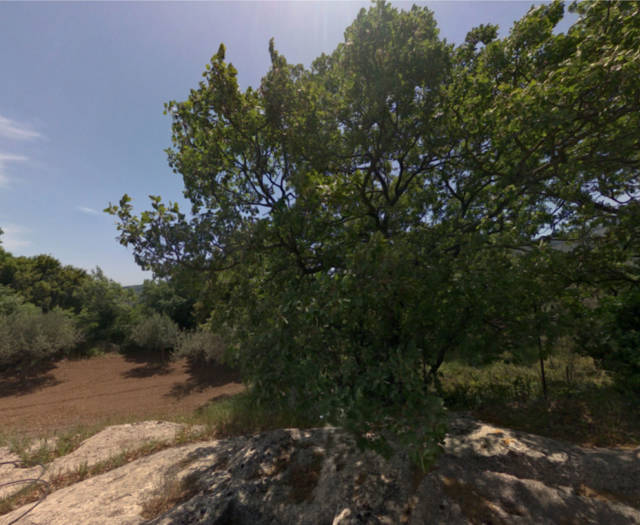 Aniforos Dasos Voskou Point 2