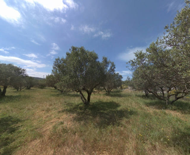 Alagni Psarades Point 3B 5A Vineyards