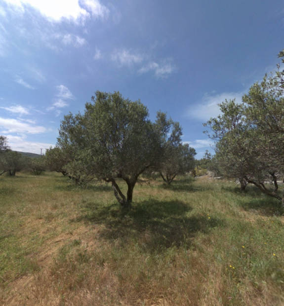 Alagni Psarades Point 3B 5A Vineyards