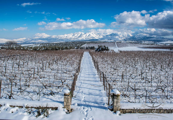 Crete Wine Paths vineyards covered in snow