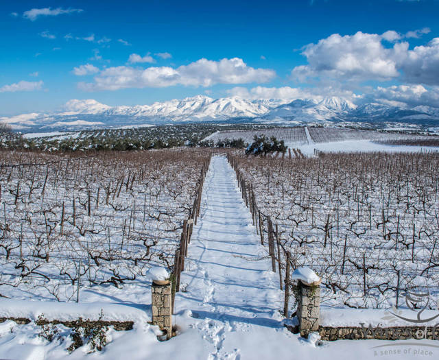 Crete Wine Paths vineyards covered in snow