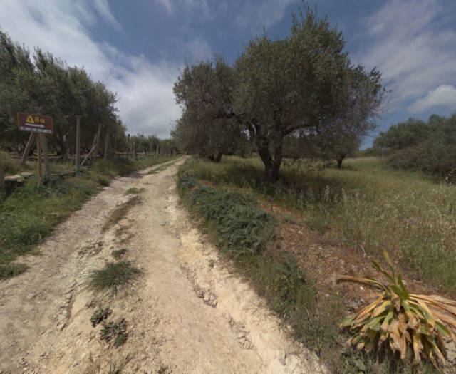 Peza Agios Konstantinos Point 8 Vineyards