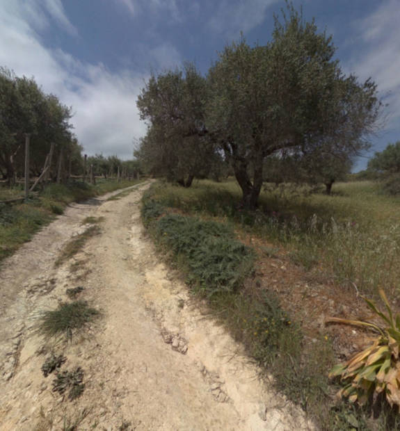 Peza Agios Konstantinos Point 8 Vineyards