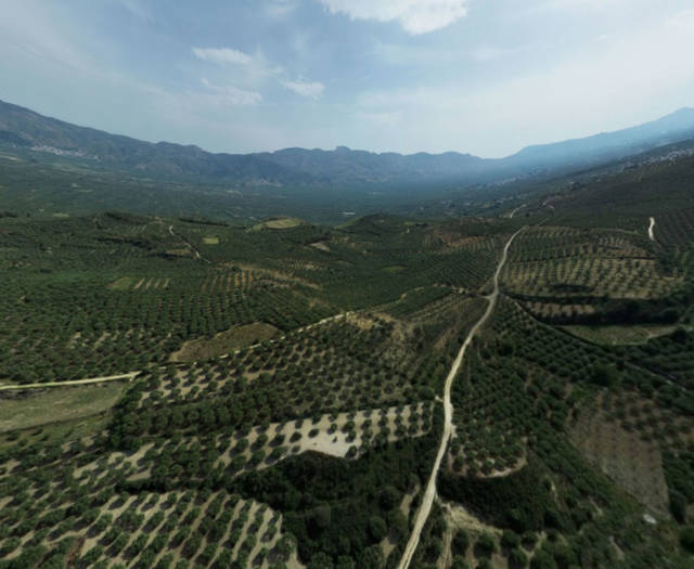 Sokaras Point 7A Vineyards